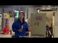 주사조각 서비스 폼 제조 알루미늄 강철 진크 합금 OEM 금속 부품